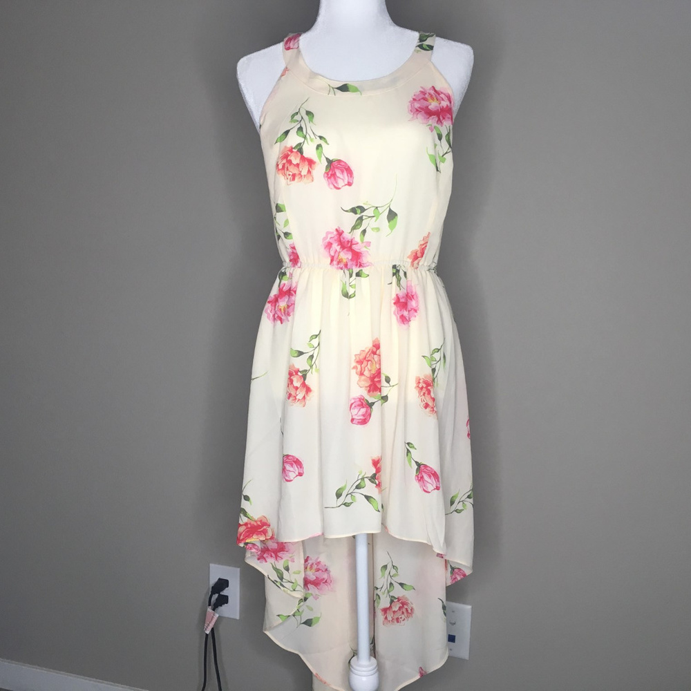 NWT Torrid Blush Floral Challis Cutaway Dress Sz 2